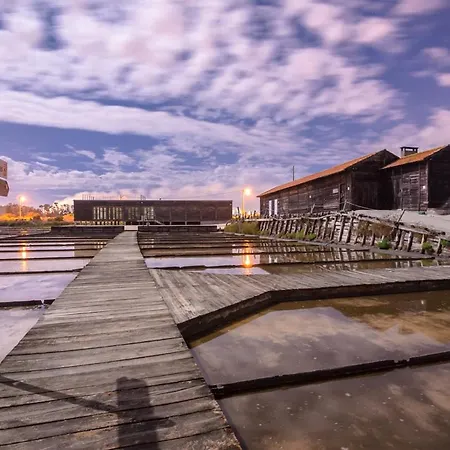 Ocean Village דירה