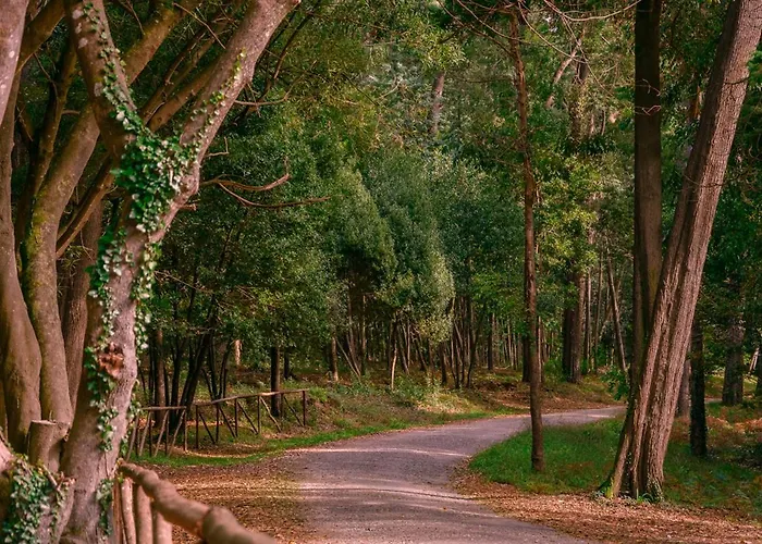 Appartement Ocean Village Buarcos